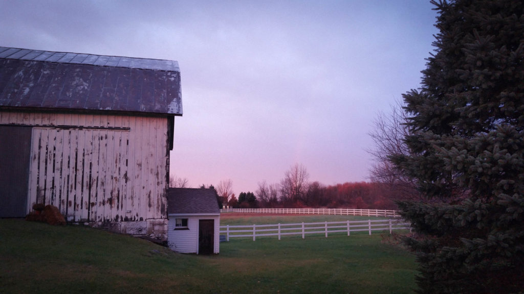 Briar-Barns-14